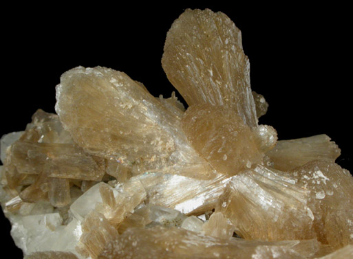 Stilbite-Ca on Calcite from Prospect Park Quarry, Prospect Park, Passaic County, New Jersey