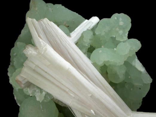 Natrolite on Prehnite from Upper New Street Quarry, Paterson, Passaic County, New Jersey