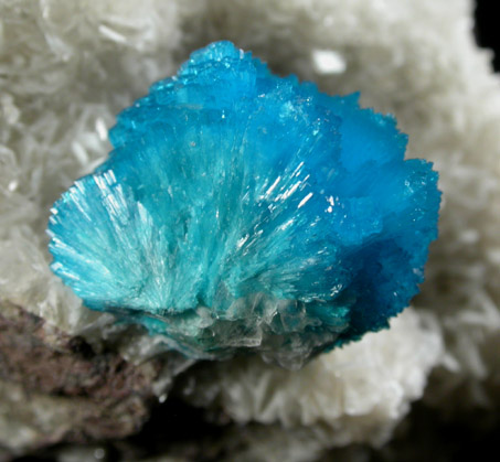 Cavansite on Stilbite-Ca from Wagholi Quarry, Maharashtra, India