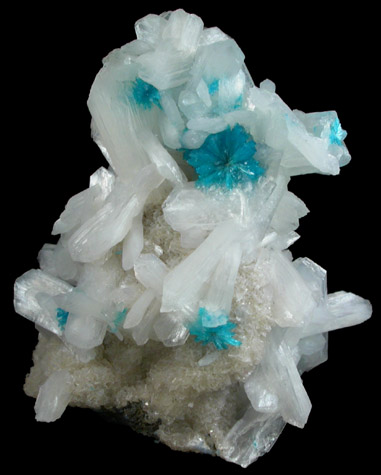 Cavansite on Stilbite-Ca from Wagholi Quarry, Maharashtra, India