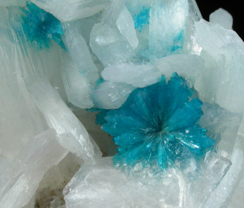 Cavansite on Stilbite-Ca from Wagholi Quarry, Maharashtra, India