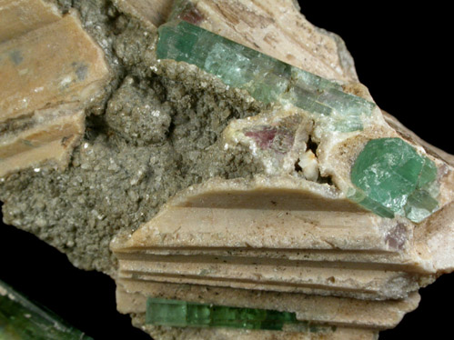 Elbaite Tourmaline in Cookeite from Mount Mica Quarry, Paris, Oxford County, Maine (Type Locality for Cookeite)