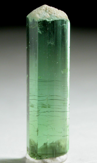 Elbaite Tourmaline with Cookeite from Mount Mica Quarry, Paris, Oxford County, Maine (Type Locality for Cookeite)