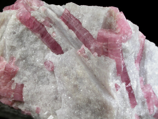 Elbaite var. Rubellite Tourmaline in Lepidolite from Stewart Mine, Pala District, San Diego County, California