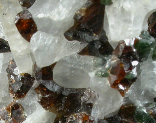 Andradite var. Colophanite Garnet, Diopside, Wollastonite from Willsboro, Essex County, New York