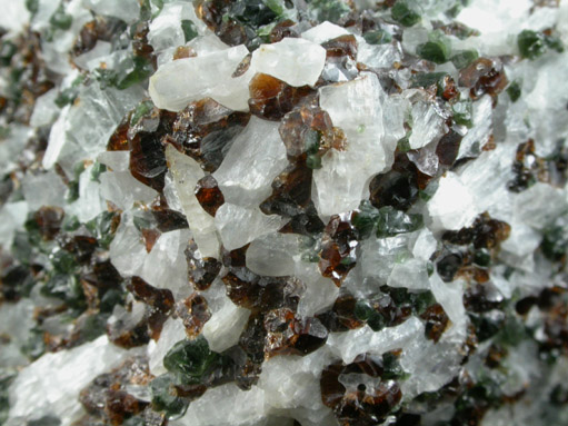 Andradite var. Colophanite Garnet, Diopside, Wollastonite from Willsboro, Essex County, New York