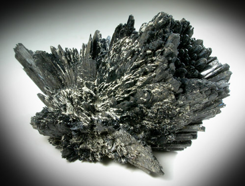 Vivianite from construction excavation, Richmond, 500 meters SE of Virginia State Capitol Square, Virginia