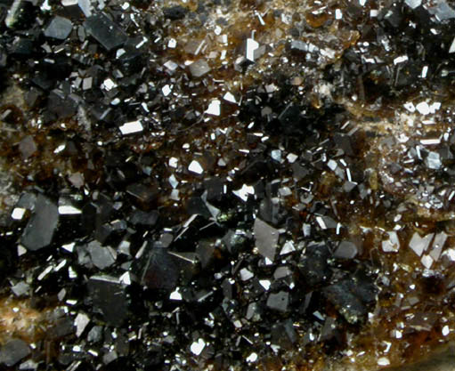 Andradite var. Melanite-Topazolite Garnet from New Idria District, Santa Teresa Hills, Santa Clara County, California