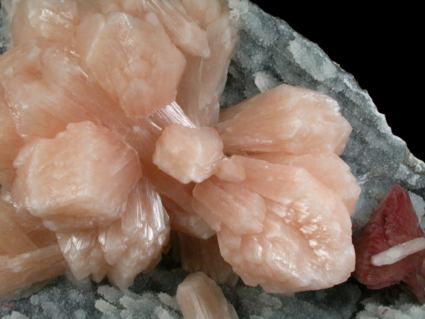 Stilbite-Ca and Heulandite-Ca on Quartz from Jalgaon, Maharashtra, India