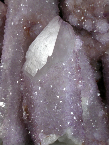 Quartz var. Amethyst (Cactus Quartz) from Boekenhouthoek area, Mpumalanga Province, South Africa