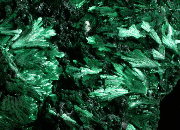 Malachite from Liufengshan Mine, Guichi, Anhui Province, China