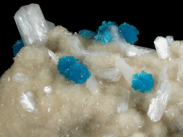 Cavansite on Quartz with Stilbite-Ca from Wagholi Quarry, Maharashtra, India