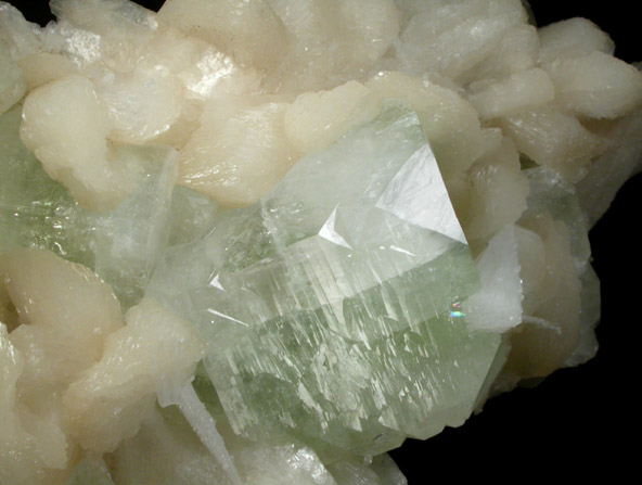 Apophyllite on Stilbite-Ca with Scolecite from Nashik District, Maharashtra, India