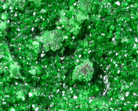 Uvarovite Garnet from Saranovskoye Mine, Sarany, Permskaya Oblast', Ural Mountains, Russia (Type Locality for Uvarovite)