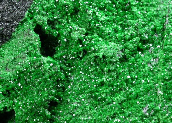 Uvarovite Garnet from Saranovskoye Mine, Sarany, Permskaya Oblast', Ural Mountains, Russia (Type Locality for Uvarovite)