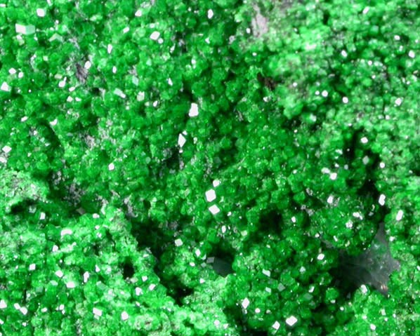 Uvarovite Garnet from Saranovskoye Mine, Sarany, Permskaya Oblast', Ural Mountains, Russia (Type Locality for Uvarovite)