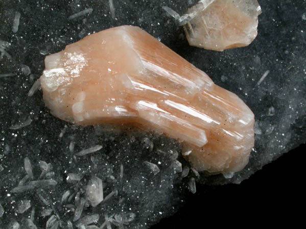 Stilbite-Ca on Quartz from Jalgaon, Maharashtra, India