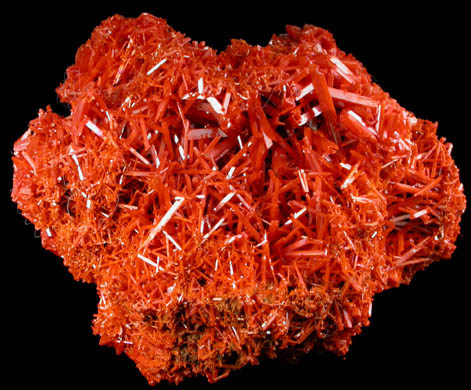 Crocoite from Adelaide Mine, Dundas, Tasmania, Australia