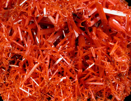 Crocoite from Adelaide Mine, Dundas, Tasmania, Australia