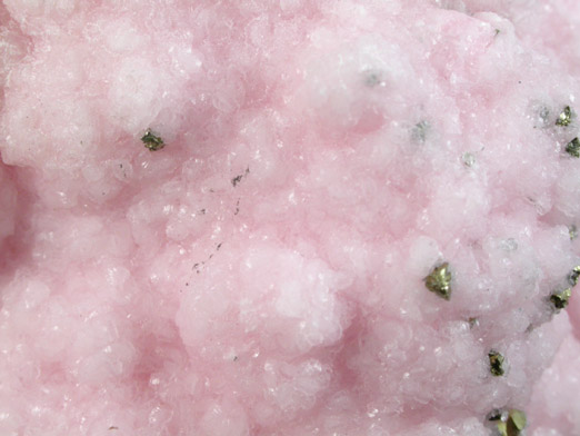 Rhodochrosite with Chalcopyrite from Cavnic Mine (Kapnikbanya), Maramures, Romania (Type Locality for Rhodochrosite)