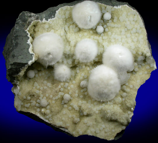 Okenite with Gyrolite on Quartz from Bombay Quarry, Mumbai (Bombay), Maharastra, India