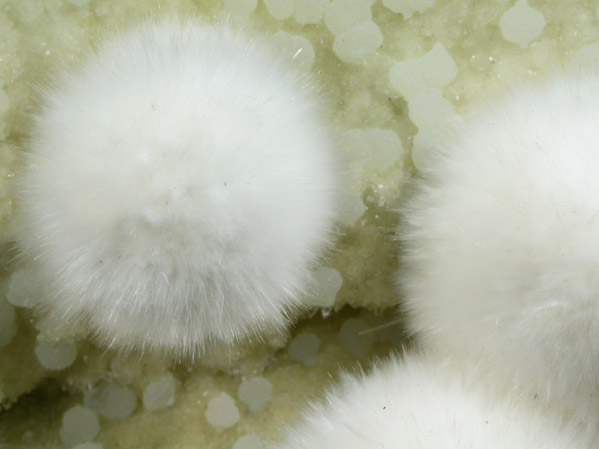 Okenite with Gyrolite on Quartz from Bombay Quarry, Mumbai (Bombay), Maharastra, India