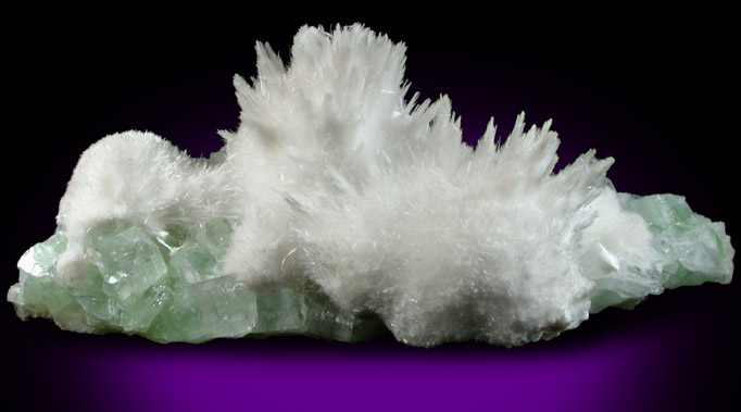 Scolecite on Apophyllite from Momin Akhada, near Rahuri, 50 km north of Ahmednagar, Maharashtra, India (Type Locality for Collected ca. 2001)