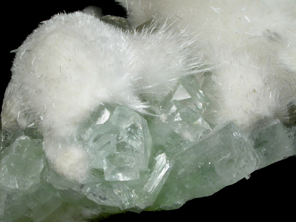 Scolecite on Apophyllite from Momin Akhada, near Rahuri, 50 km north of Ahmednagar, Maharashtra, India (Type Locality for Collected ca. 2001)