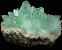 Apophyllite from Pashan Hill Quarry, Maharashtra, India