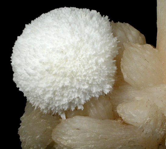 Mordenite on Stilbite-Ca from Sakur, Ahmadnagar District, Maharashtra, India