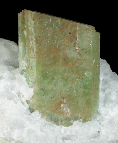 Pargasite with Pyrite in white marble from Aliabad, Hunza Valley, Gilgit-Baltistan, Pakistan