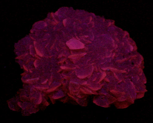 Photo below under shortwave ultraviolet illumination of Calcite over Galena, Quartz, Sphalerite from Borieva Reka Mine, Madan District, Rhodope Mountains, Bulgaria Calcite over Galena, Quartz, Sphalerite from Borieva Reka Mine, Madan District, Rhodope Mountains, Bulgaria