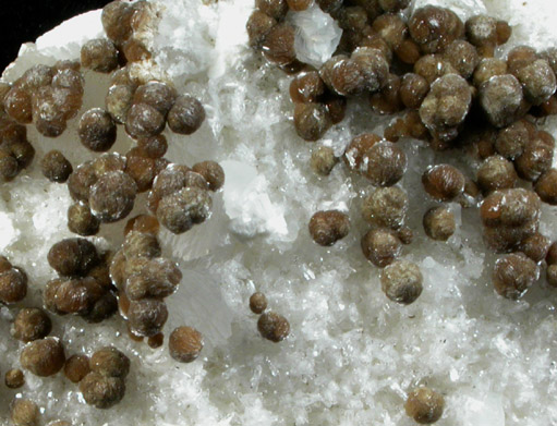 Gyrolite on Quartz with Prehnite from Mumbai District (Bombay), Maharashtra, India