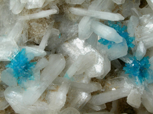 Cavansite on Stilbite-Ca from Wagholi Quarry, Maharashtra, India