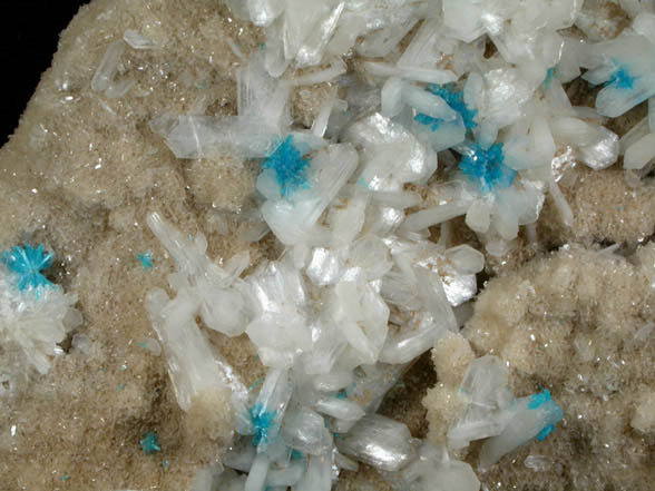 Cavansite on Stilbite-Ca from Wagholi Quarry, Maharashtra, India