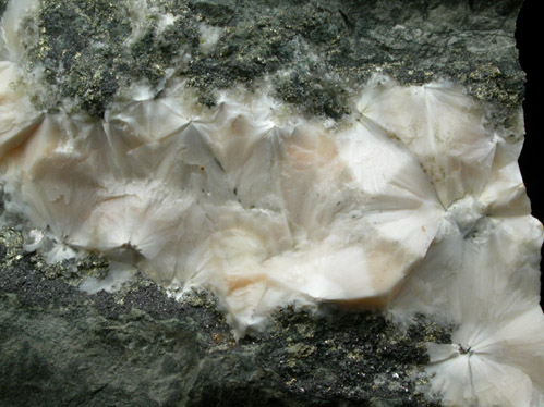 Natrolite and Pyrite from Kibblehouse Quarry, Perkiomenville, Montgomery County, Pennsylvania
