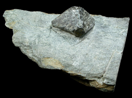 Magnetite from Bell's Mill Road, near Wissahickon Creek, Chestnut Hill, Philadelphia, Philadelphia County, Pennsylvania