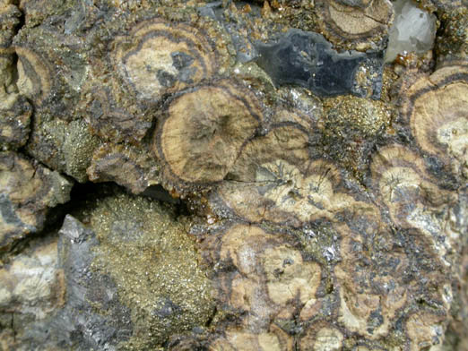 Galena, Sphalerite, Marcasite from Cominco Polaris Mine, Little Cornwallis Island, Nunavut, Canada