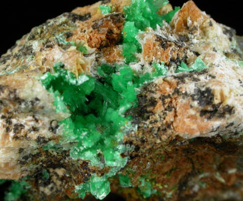 Annabergite from Kamariza Mine, Lavrion (Laurium) Mining District, Attica Peninsula, Greece
