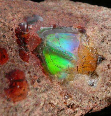Opal var. Precious Opal from Mexico