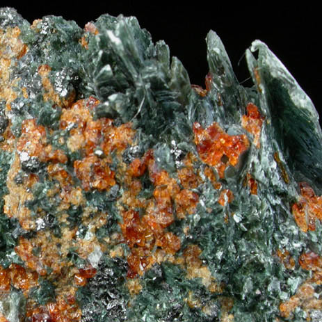 Clinochlore and Chondrodite from Tilly Foster Iron Mine, near Brewster, Putnam County, New York