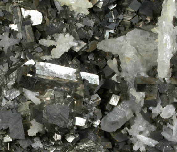 Arsenopyrite and Quartz on Galena from Noche Buena Mine, Zacatecas, Mexico
