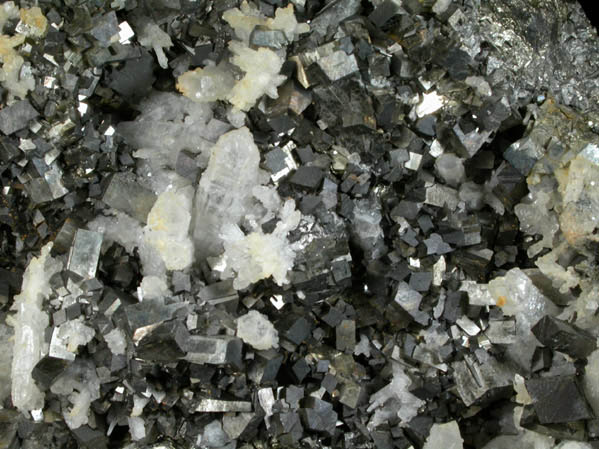 Arsenopyrite and Quartz on Galena from Noche Buena Mine, Zacatecas, Mexico
