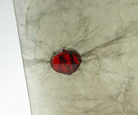 Almandine Garnet in Muscovite from Spruce Pine District, Mitchell County, North Carolina