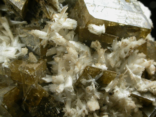 Siderite and Pectolite on Albite from Mont Saint-Hilaire, Québec, Canada