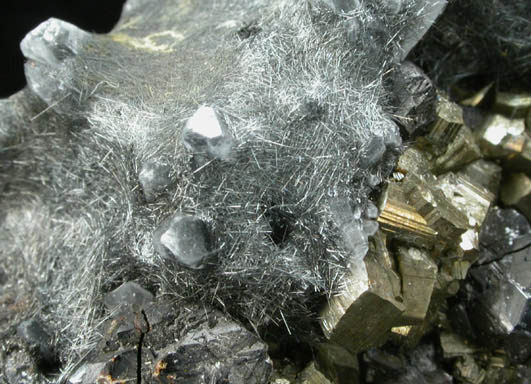 Boulangerite on Pyrite, Quartz, Sphalerite from Noche Buena Mine, Zacatecas, Mexico