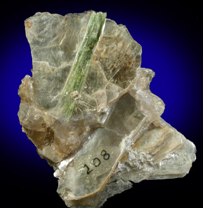 Elbaite Tourmaline in Muscovite Mica from Mount Mica Quarry, Paris, Oxford County, Maine