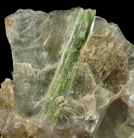 Elbaite Tourmaline in Muscovite Mica from Mount Mica Quarry, Paris, Oxford County, Maine