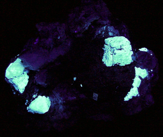 Microcline, Scheelite, Quartz, Magnesiofoitite(?) from Xuebaoding Mountain near Pingwu, Sichuan Province, China