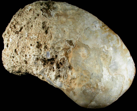 Quartz var. Agate from Great Notch, Route 46 (former Route 6) road cut, Passaic County, New Jersey